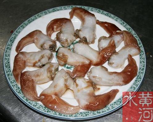 �������񱴵�����