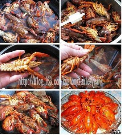 ������Ϻ������