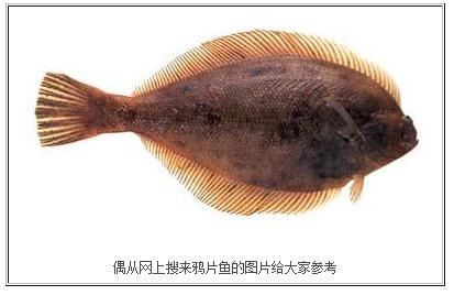 �罷����ͷ������