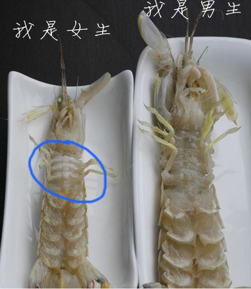 ��ˮƤƤϺ������