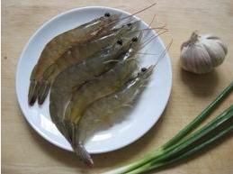 ������Ϻ������