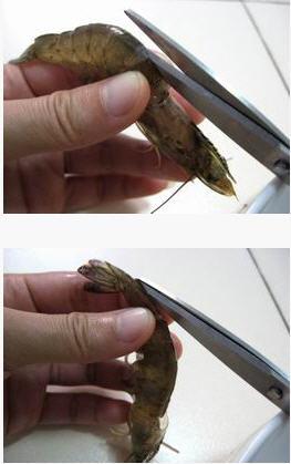 ������Ϻ������