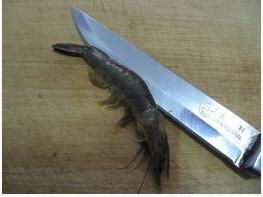 ������Ϻ������