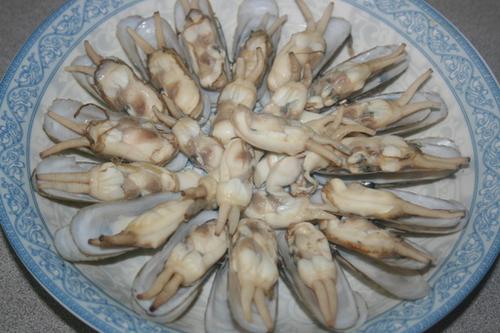 ���׾²����ӵ�����