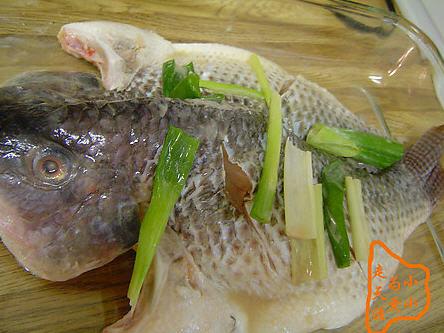 ���쿾�������