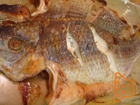 ���쿾�������