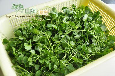 蚝油草头的做法