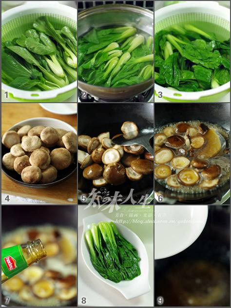 �㹽���ĵ�����