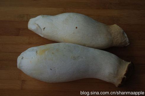 ����ӱ���������