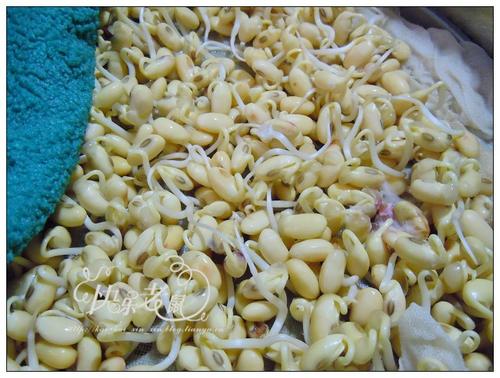 �Է���ѿ������