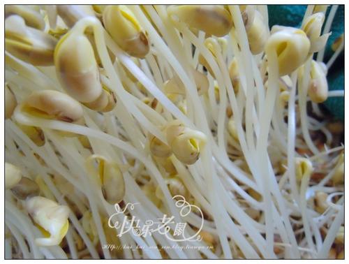 �Է���ѿ������