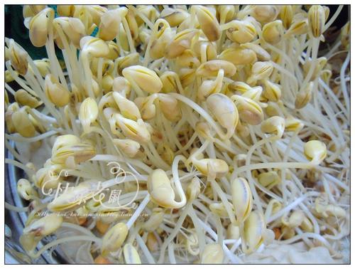 �Է���ѿ������