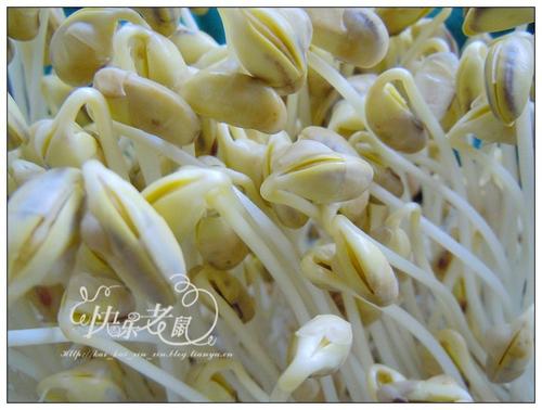 �Է���ѿ������