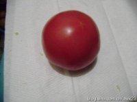 ������Ƭ������