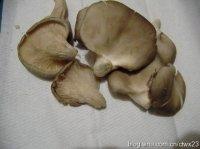 连汤肉片的做法