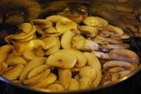 ��Ģ������������