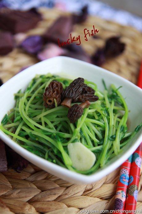 ��Ǿ�Ũ���ж��������