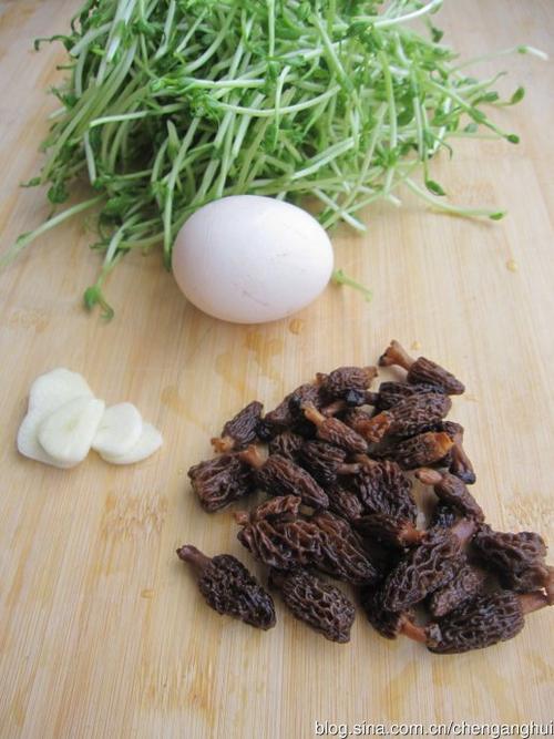 ��Ǿ�Ũ���ж��������