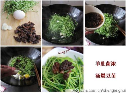 ��Ǿ�Ũ���ж��������