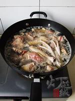 ɽҩ������������