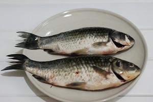 �����ܲ���������