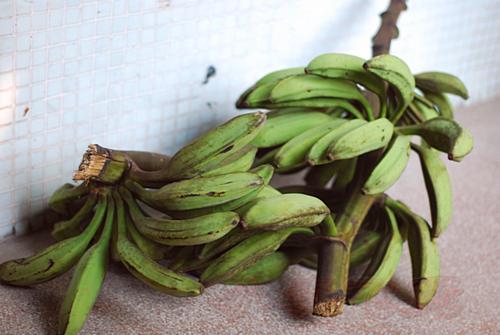 ����������������