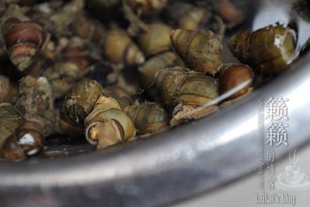 ���㳴�ݵ�����