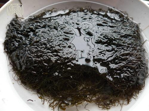 ������˿������