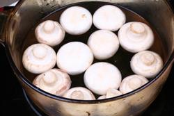 白蘑菇排骨汤的做法