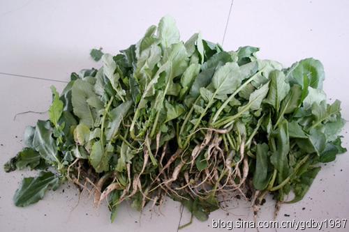 �����ܲ��ɵ�����