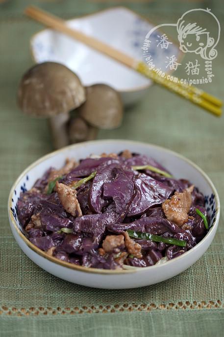 ��Ƭ����Ģ������