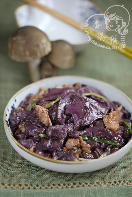 ��Ƭ����Ģ������