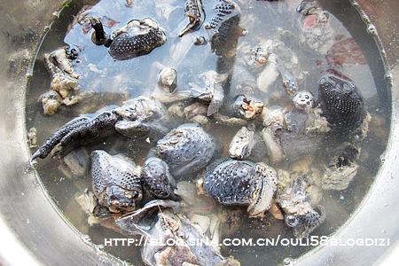 �ڼ������������