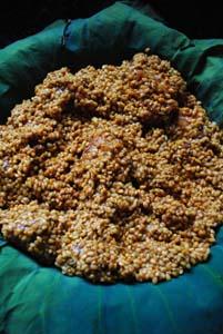 ����Ŵ�����Źǵ�����