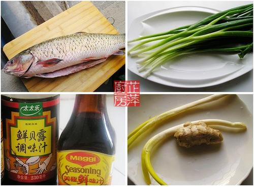 ������Ƭ������