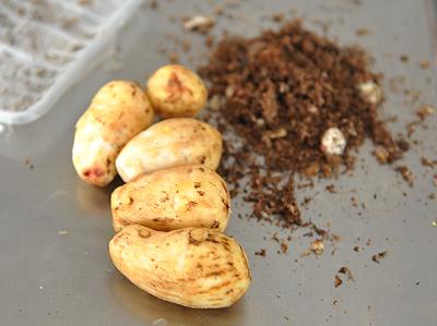 青菜煲芋艿靓汤的做法