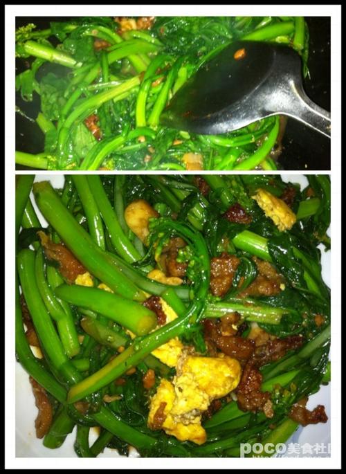 �������������ĵ�����