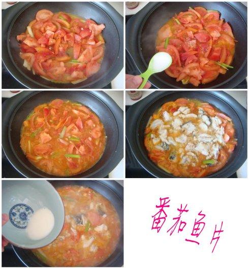 ������Ƭ����������