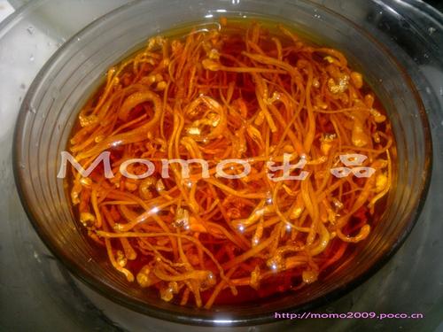 虫草花核桃猪骨汤的做法