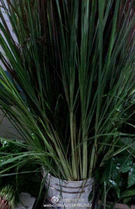 咖喱蔬菜牛尾煲的做法