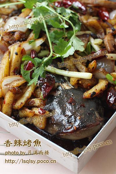 ����������������