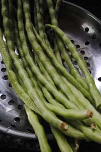 �����ٳɰ�����������������