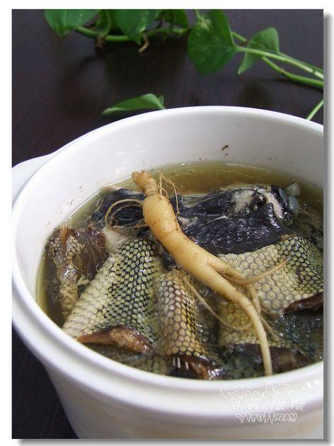 ɽ��������������