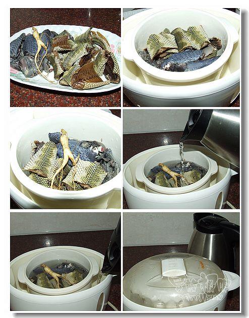 ɽ��������������