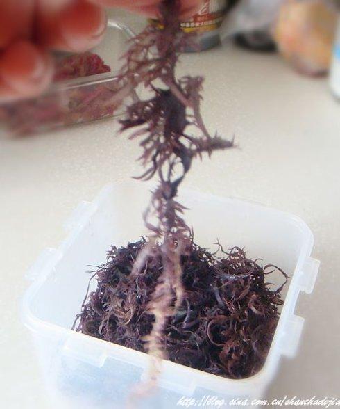 �����Ͼ��������