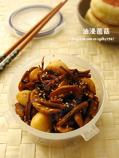 �ͽ�����������