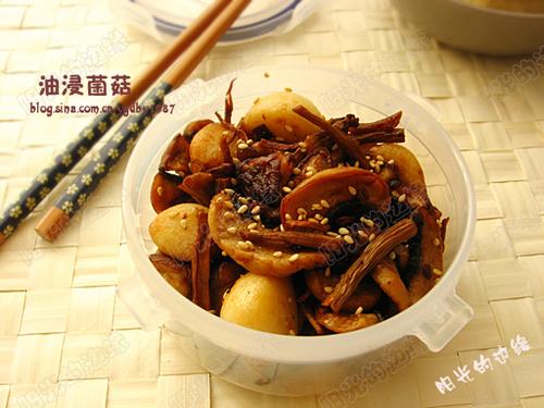 �ͽ�����������