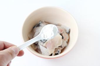 ������Ƭ������