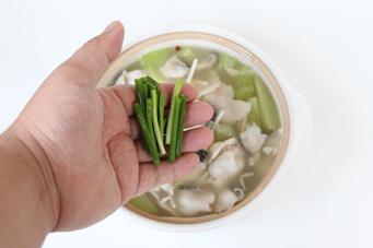 ������Ƭ������