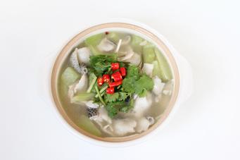 ������Ƭ������